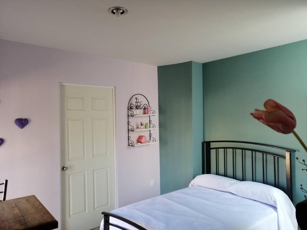 Casa Nikte Apartman Zacatecas Kültér fotó